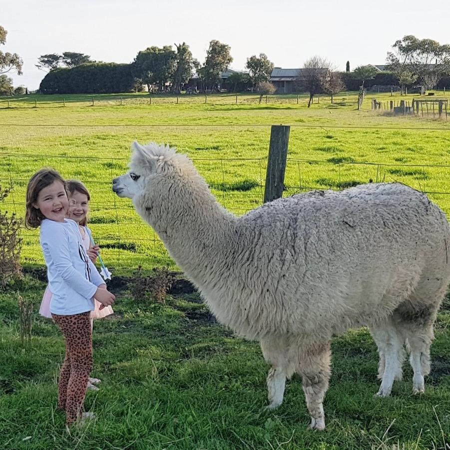 Clonmara Country House And Cottages Port Fairy Ngoại thất bức ảnh
