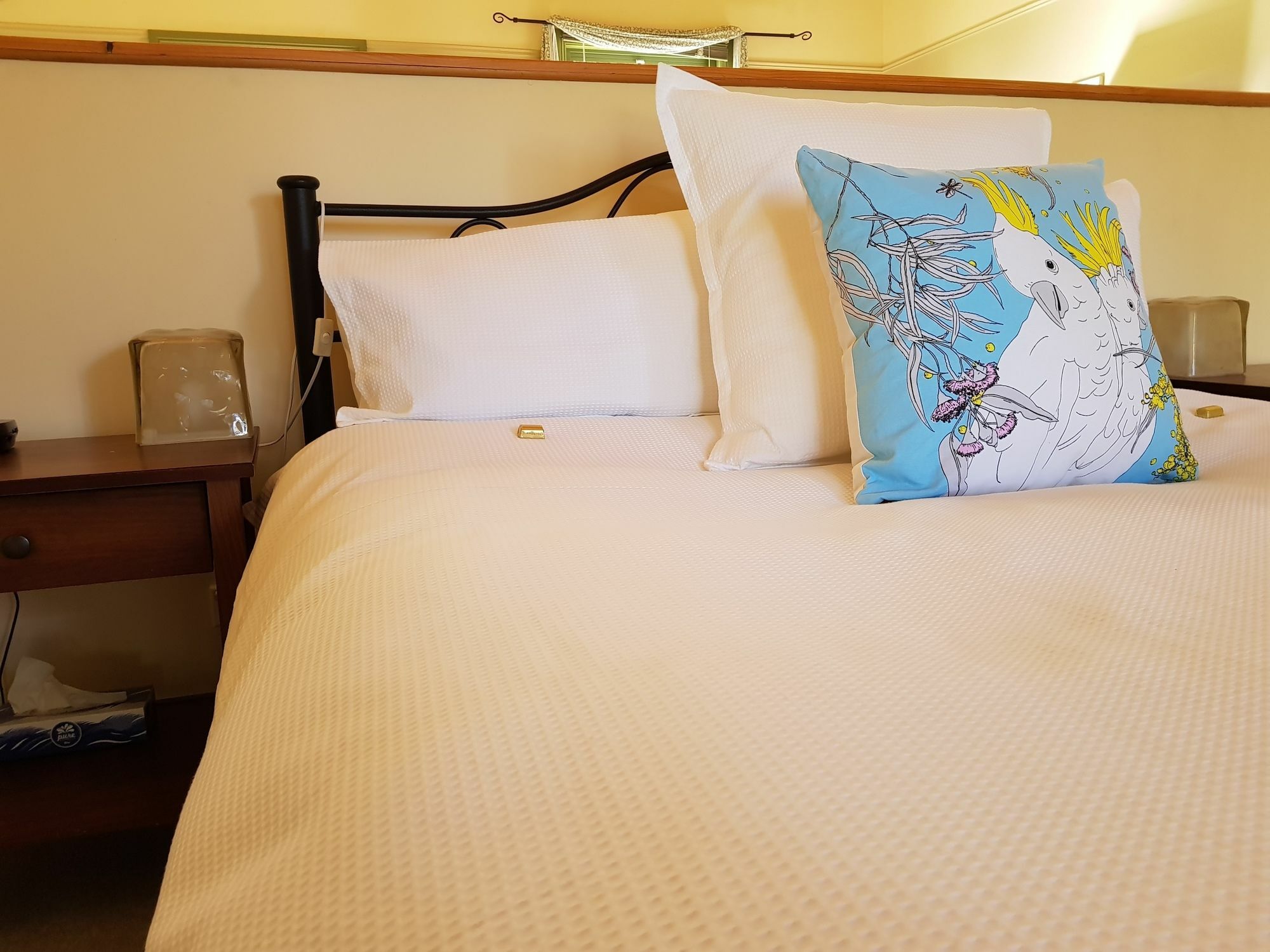 Clonmara Country House And Cottages Port Fairy Ngoại thất bức ảnh
